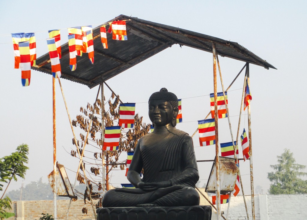 Buddha on Navayana Temple Ground, Vaishali
